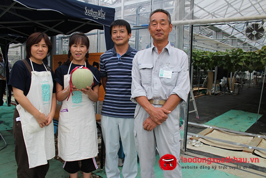 Tuyển 15 Nam/nữ đi XKLĐ Nhật Bản đơn hàng trồng dưa gang lương khủng
