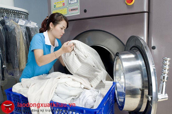 Đơn hàng 1 năm: 15 nữ làm giặt là công nghiệp tại Saga Nhật Bản