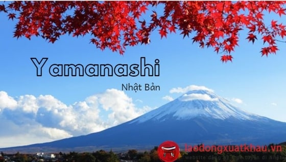 Yamanashi  Nhật bản – Vùng đất trăm người đến vạn người mê