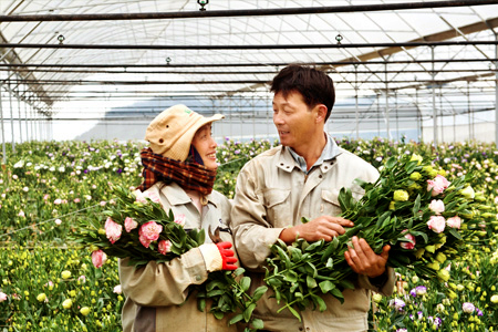 Tuyển 10 lao động Nam thi công sân vườn, trồng hoa tại Hiroshima tháng 1/2023