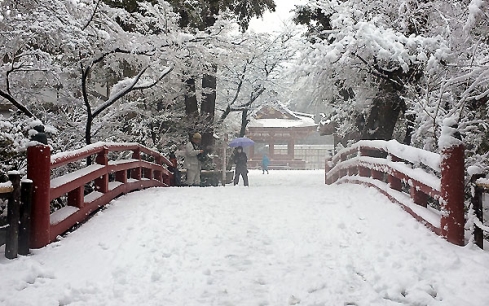 Hokkaido đón tuyết rơi lạnh kỉ lục nhất 5 năm qua