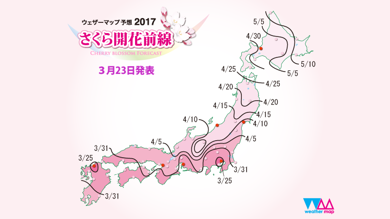 Lịch ngắm hoa anh đào đẹp nhất tại các vùng Nhật Bản năm 2023