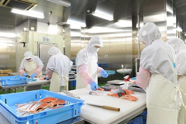 Đi đơn hàng chế biến thực phẩm tại Nhật Bản cần có yêu cầu gì?