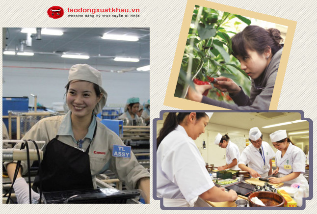 4 ngành nghề lương cao, việc nhàn cho phụ nữ đi Xuất khẩu lao động Nhật Bản 2018