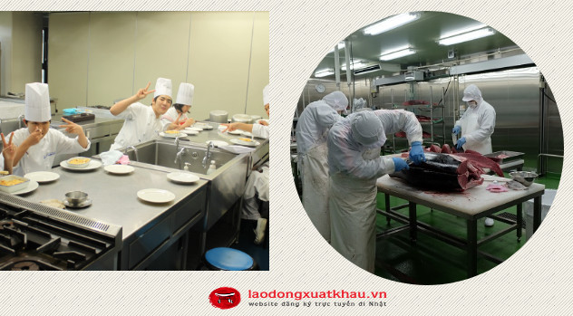 Đơn hàng chế biến thực phẩm tại Hokkaido tuyển 56 Nữ làm việc tại Nhật Bản