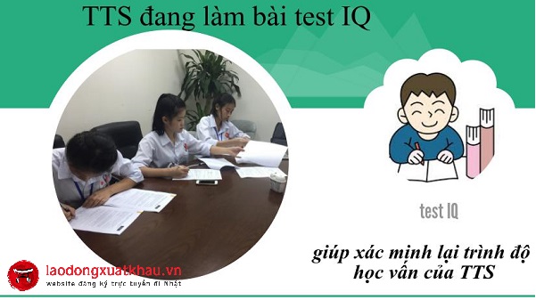 Hướng dẫn làm bài test của chúng tôi Nhật - test IQ kiến thức và test tay nghề
