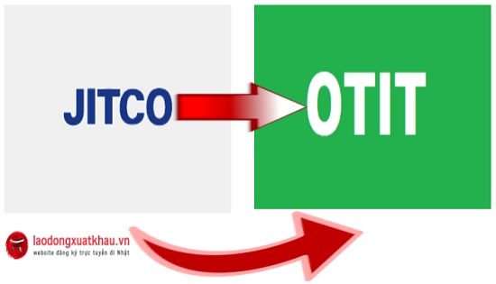 JITCO chính thức dừng hoạt động, tìm hiểu tổ chức OTIT - đơn vị hỗ trợ thực tập sinh mới
