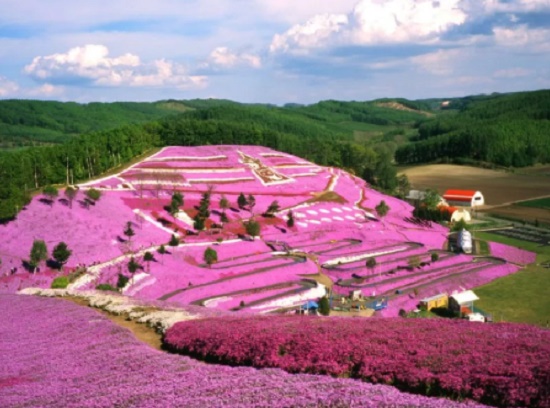 Shock với 25 địa điểm du lịch đẹp mê hồn của Hokkaido Nhật Bản
