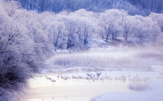 Shock với 25 địa điểm du lịch đẹp mê hồn của Hokkaido Nhật Bản