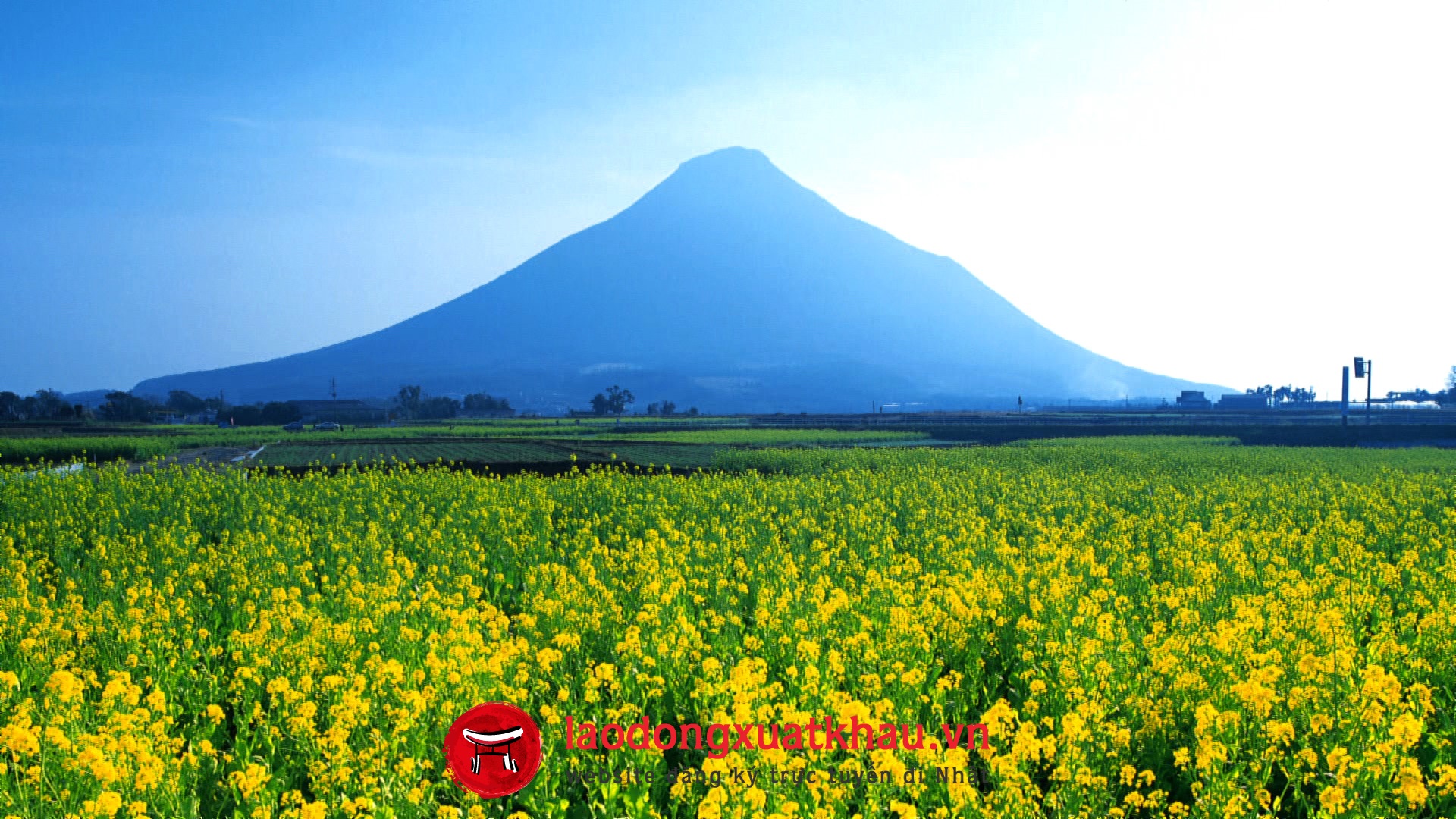 8 điều bất ngờ về vùng đất núi lửa Kagoshima Nhật Bản