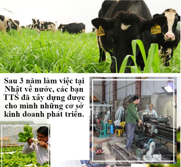 Năm 2018 - Có nên đi xuất khẩu lao động Nhật Bản không?