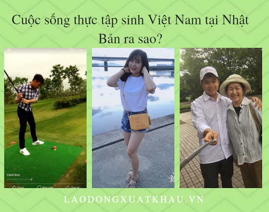 Hình ảnh thực tế cuộc sống TTS Việt Nam tại Nhật Bản