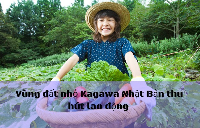 Vùng đất nhỏ Kagawa Nhật Bản MỎ VÀNG của lao động Việt