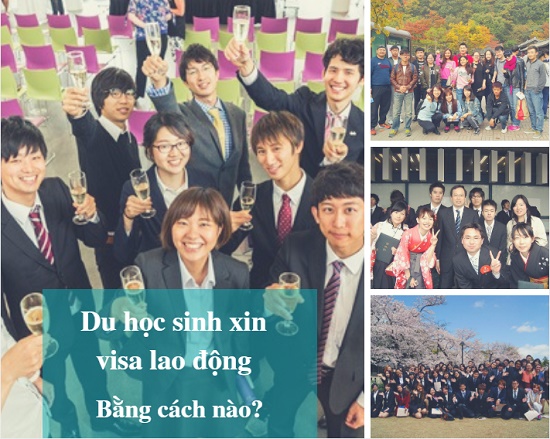 Siêu hot: Du học sinh Nhật Bản sẽ được cấp visa lao động trái ngành nếu ...