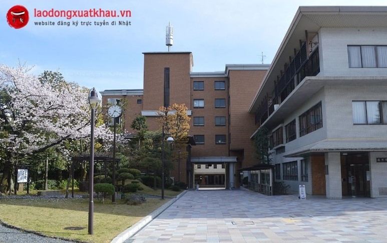 Đại học Nhật Bản miễn 100% học phí cho đối tượng...
