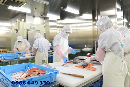 XKLĐ Nhật Bản: Đơn hàng chế biến cá dành cho 36 nam lương cao