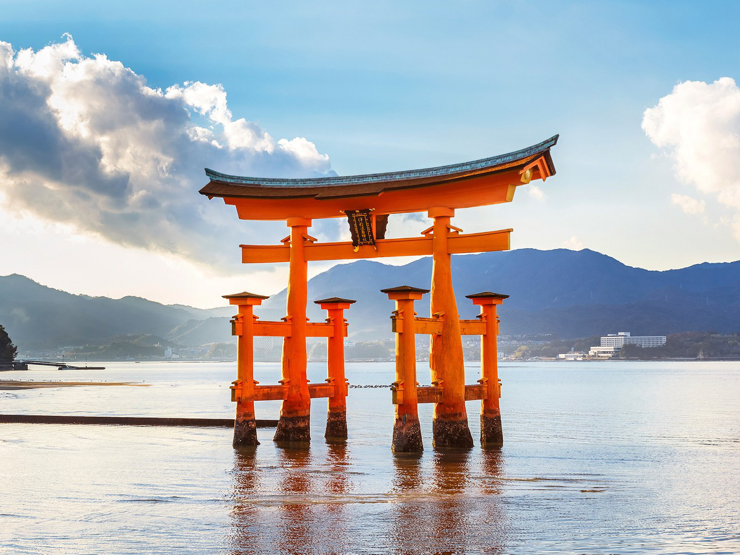 Thực tập sinh đi Nhật có nên bỏ trốn không?
