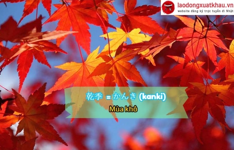 HẾT HỒN với 80 từ vựng tiếng Nhật về mùa thu