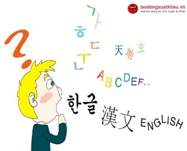 6 cách để biết nên học tiếng Hàn hay tiếng Nhật