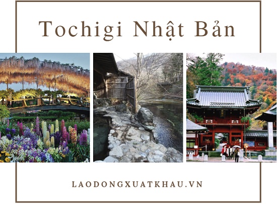 Tochigi Nhật Bản - nơi chấp cánh ước mơ lao động Việt
