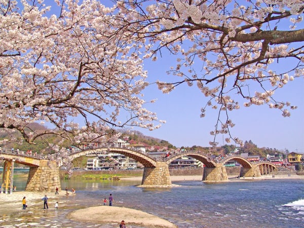 Yamaguchi – Điểm du lịch vô cùng hấp dẫn tại Nhật bản
