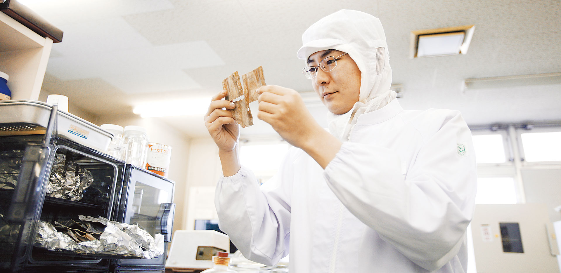 Kỹ sư công nghệ thực phẩm Nhật Bản làm công việc gì?