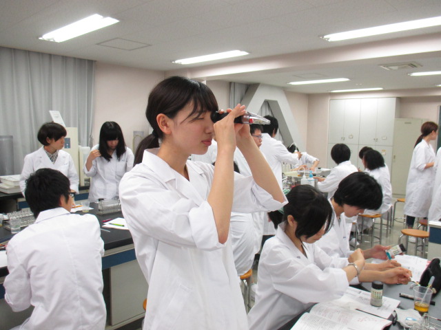Đơn hàng kỹ sư hóa học đi Nhật là làm gì