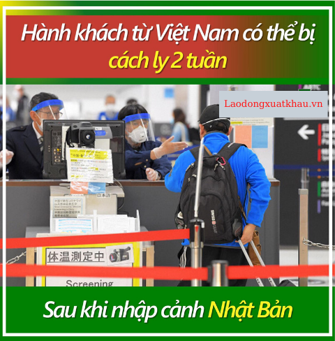 Hành khách từ Việt Nam nhập cảnh vào Nhật Bản có thể bị cách  ly 2 tuần